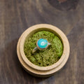 Sonoran Ring