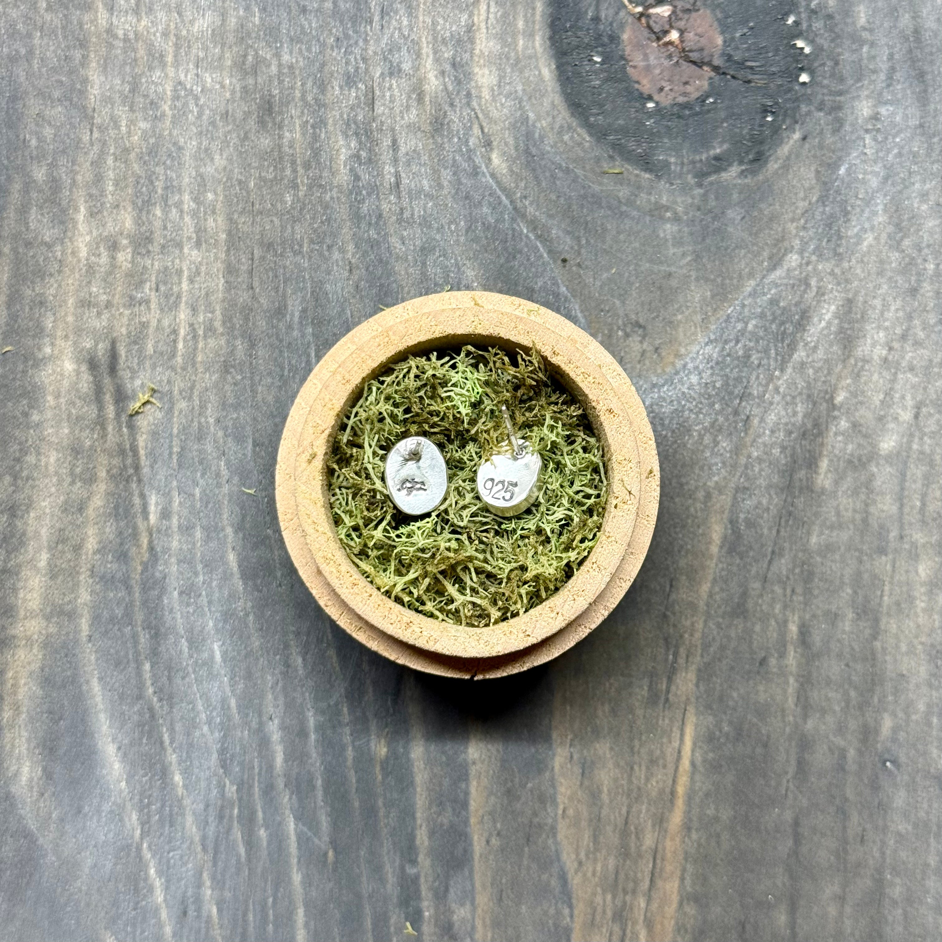 White Buffalo Studs